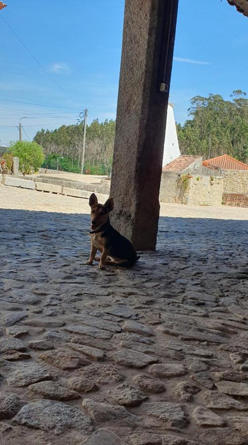 فيلا فيلا دو كونديفي Casa Do Forno De Cal المظهر الخارجي الصورة